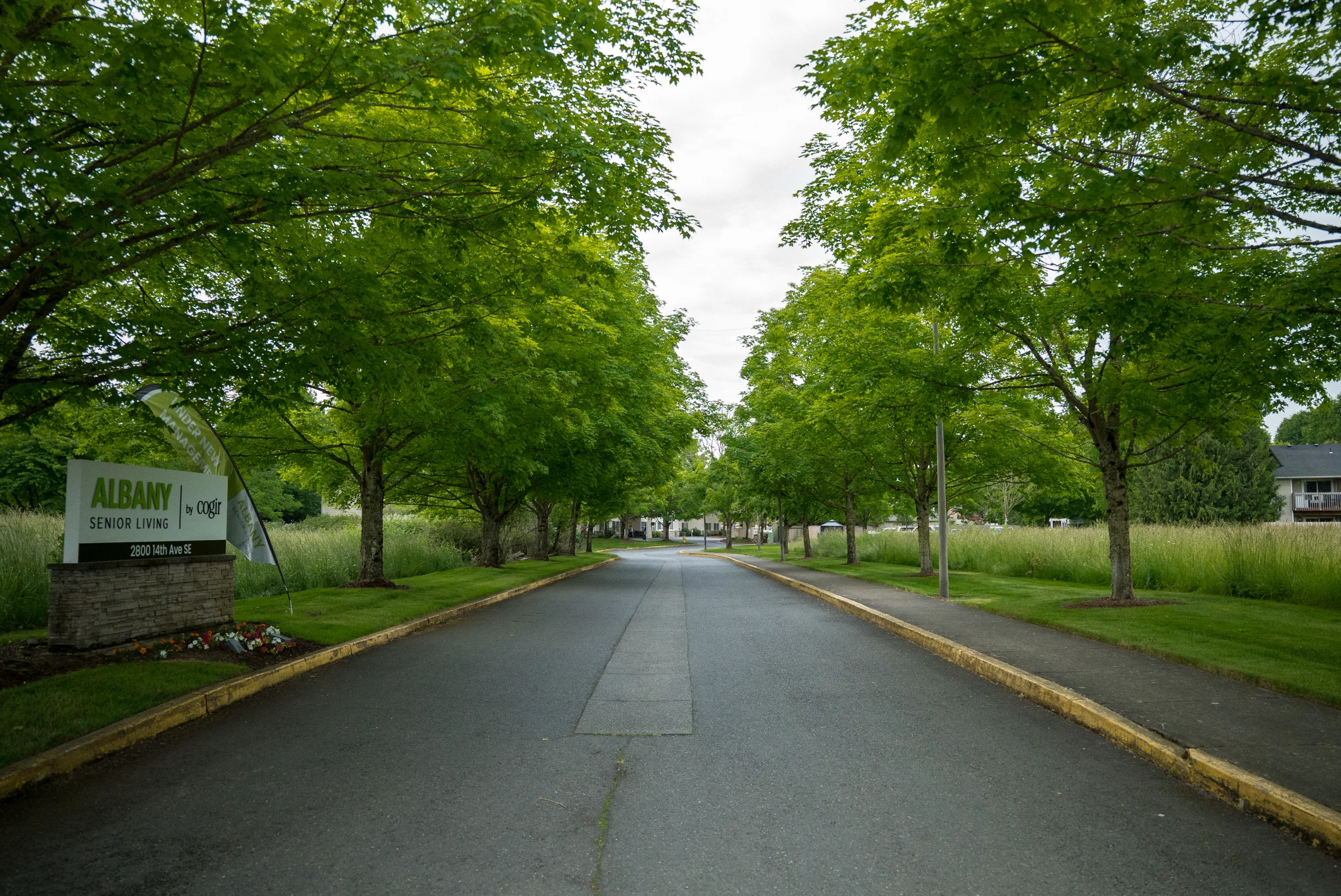 Commercial landscape management for apartment grounds in Oregon