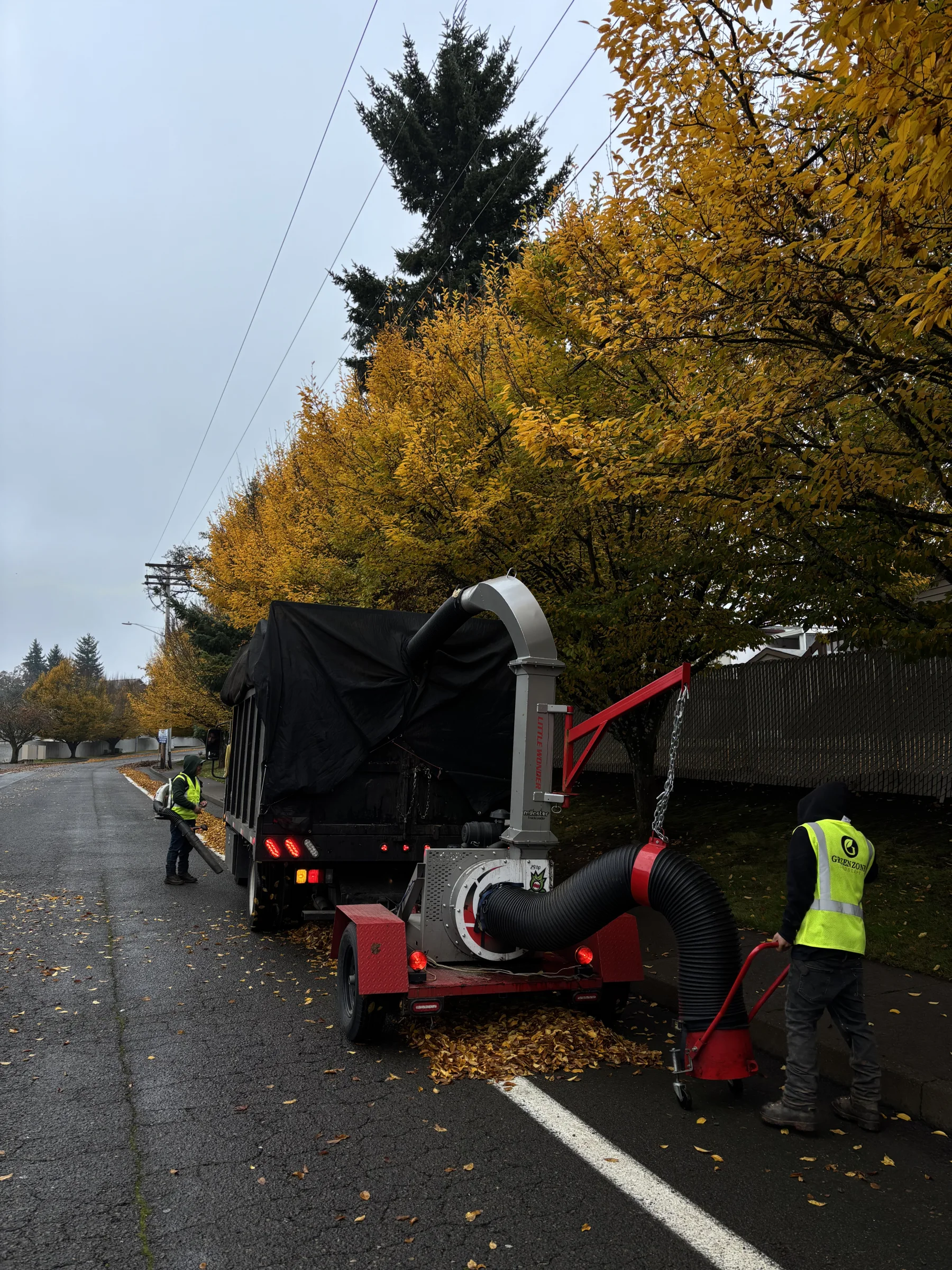 Landscape cleanup and trimming for a Willamette Valley property