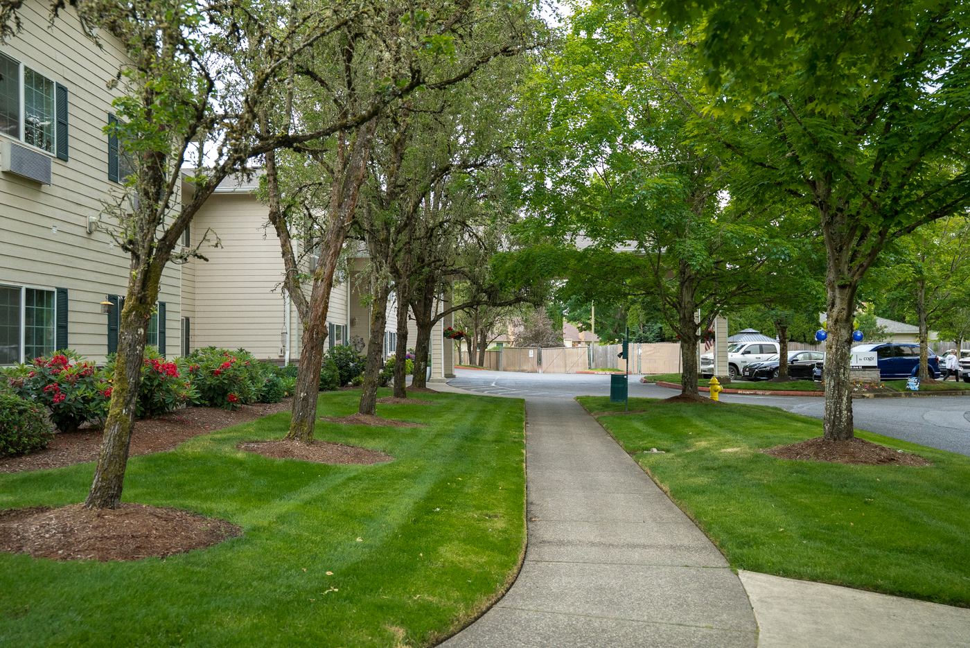 Maintained apartment landscape walkway in the Willamette Valley