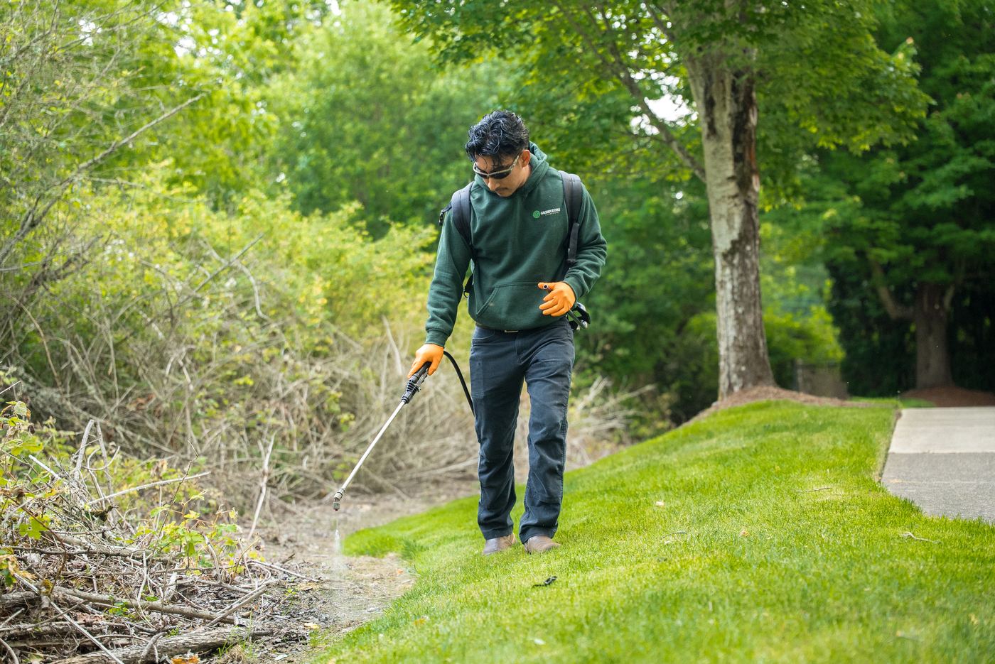 Landscape cleanup and trimming for a Willamette Valley property